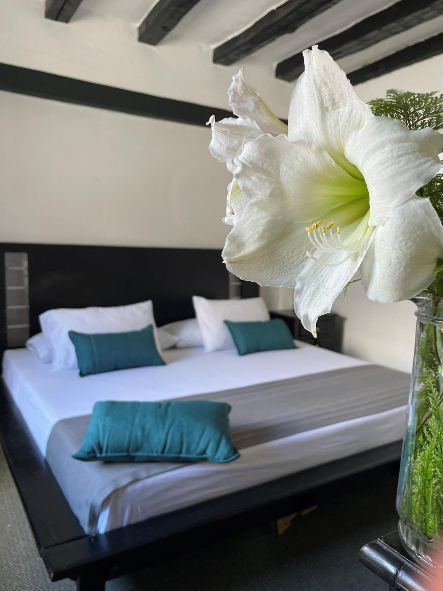 Hotel Premium Real Medellín Esterno foto